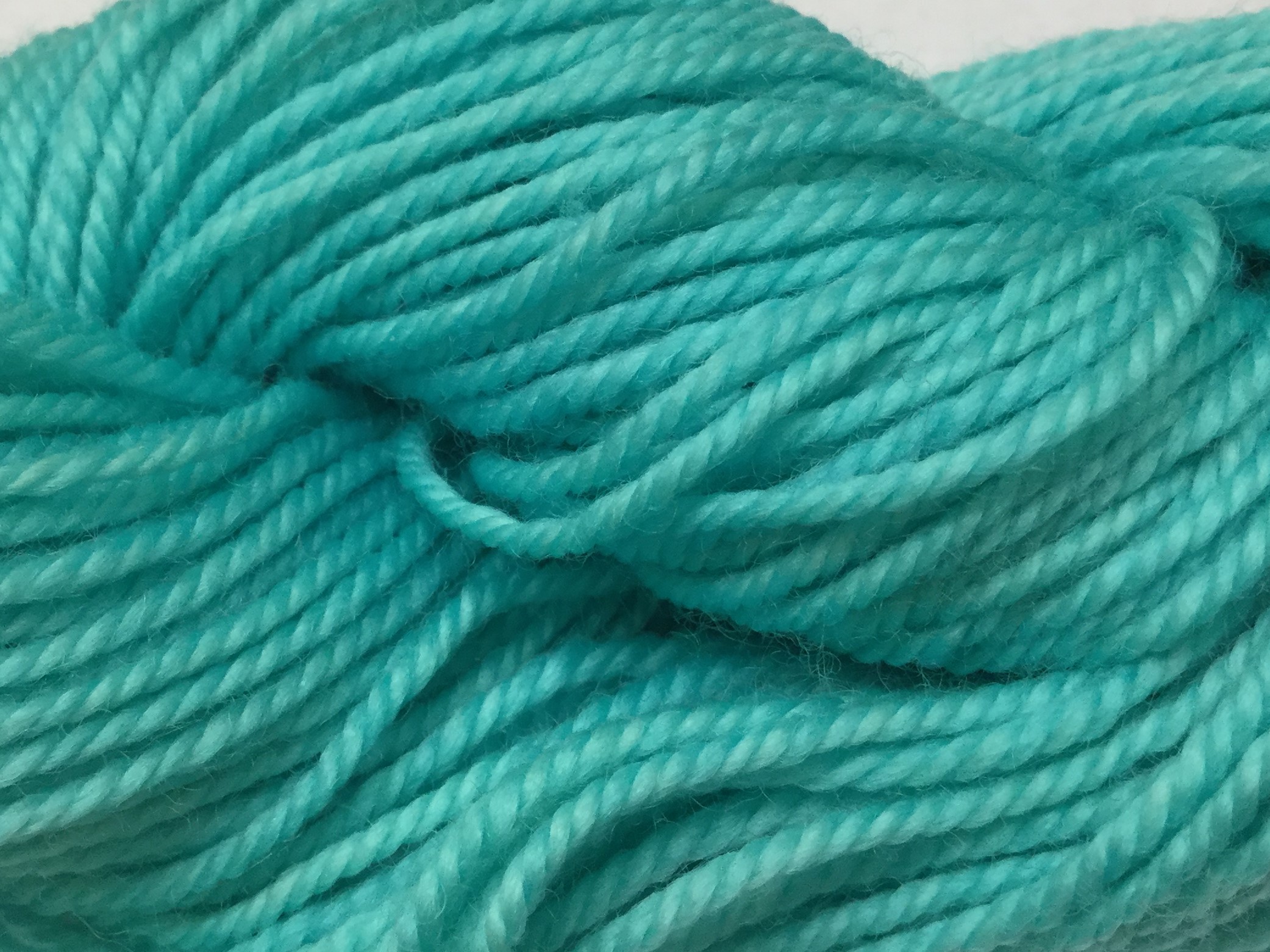 Ivy Brambles Superwash DK Yarn #158 Azure Seas